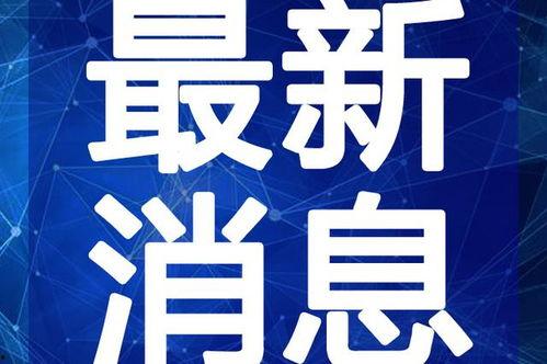 贵溪热点爆料新闻视频最新,惊现神秘事件，真相令人震惊！